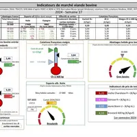 Les indicateurs de marché de viande bovine