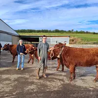 Jean-Pierre, Jacqueline et Thibault Roberton présentent les 3 génisses de leur élevage, inscrites au National Salers : Titane, Scarlette et Sagesse.
