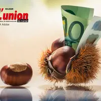 Un billet sort d'une bogue de châtaigne