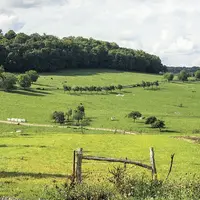 Des parcelles agricoles