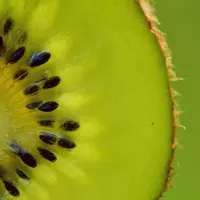 tranche de kiwi
