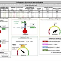 Indicateurs de marché de viande bovine