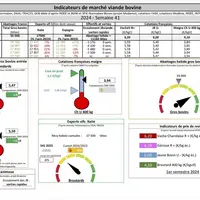 Indicateurs de marché viande bovine