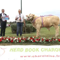 2 hommes et un bœuf charolais primé posent pour la photo