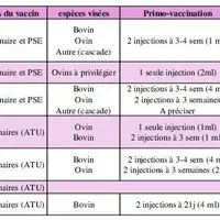 tableau des vaccins FCO et MHE