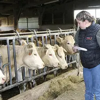Les élèves en plein concours de pointage sur la ferme de Benjamin Boulard