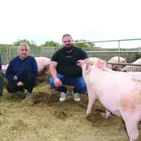 Un homme, une femme, et un homme accroupis au milieu des cochons