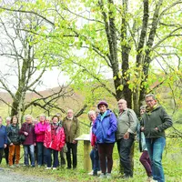 Un groupe de marcheurs le long du chemin arboré