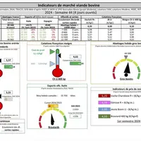 Indicateurs de marché viande bovine