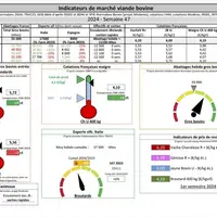 Indicateurs de marché de viande bovine