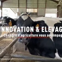 image de la vidéo Innovation et élevage