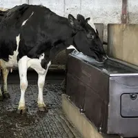 Maîtriser les consommations d'énergie à la ferme pour alléger les factures