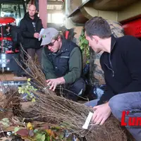 Des agriculteurs choisissent leurs plants de haie.