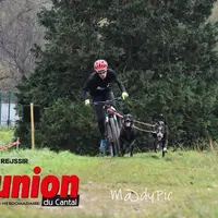 Un garçon sur un vélo tiré par deux chiens