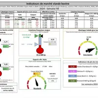 Les indicateurs de marché viande bovine