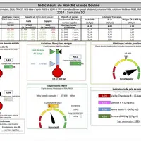 Indicateurs de marché de viande bovine