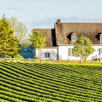 Paysage de campagne avec un champ cultivé et une maison et des arbres en arrière plan