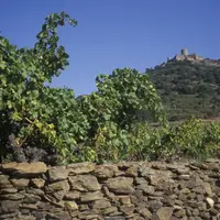 Muret en pierres