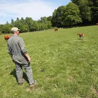 Agriculteur en pleine réflexion.