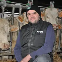 Homme avec un bonnet dans une stabulation avec des vaches de race charolaise.
