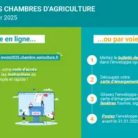 Marche à suivre pour voter par correspondance et en ligne