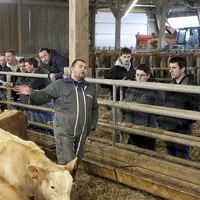 Un éleveur dans l'enclos avec sa vache limousine, discute avec d'autres éleveurs aux barrières