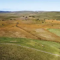 La tourbière des Roustières, site témoin du changement climatique en Aubrac