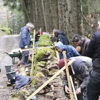 Un groupe de personne travaille sur un mur en pierre sèche