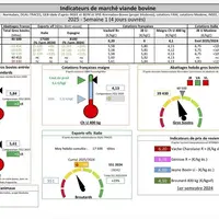 Indicateurs de marché viande bovine