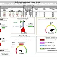Les indicateurs de marché de viande bovine