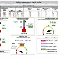 Les indicateurs du marché de viande bovine en semaine 4