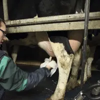En agriculture, l’emploi est un défi crucial qu’il faudra relever !