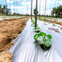 En 2020, la start-up Carbiolice et le groupe Barbier ont uni leurs savoir-faire pour mettre au point des films de paillage biodégradables.