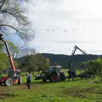 taillage de haies interdiction agriculteurs
