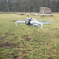 drone surveiller clôtures terrain agricole surveillance sécurité