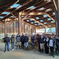 groupe de personnes dans une stabulation
