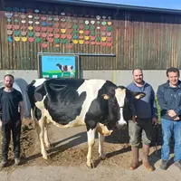 Les éleveurs et Vincent Brunel, conseiller en élevage et animateur de l'association Haute-Loire Holstein, avec Nounou d'Amblard.