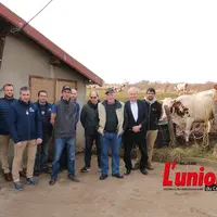 Un groupe de personnes à côté de deux vaches à droite