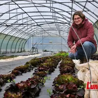 Maraichère, accroupie devant des plants de salade