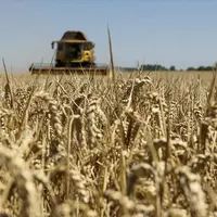 Une moissonneuse dans un champ de blé