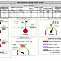 Les indicateurs de marché de viande bovine