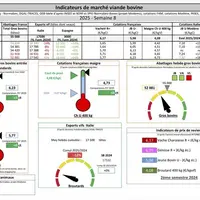 Indicateurs de marché de viande bovine