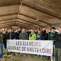 Les éleveurs aubracs en assemblée générale 2025