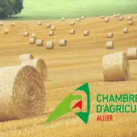 bottes de foin dans un champs et logo de la Chambre d'agriculture de l'Allier