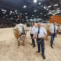 Saturday, vache de race charolaise et ses propriétaires de l'Earl Astre Benoît dans le Puy-de-Dôme.