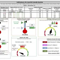Les indicateurs de marché viande bovine