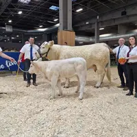 vache taureau charolais éleveurs puy de dôme salon paris