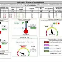 Les indicateurs de marché viande bovine