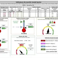 Indicateurs de marché de viande bovine