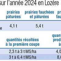 Rendements sur l'année 2024 en Lozère